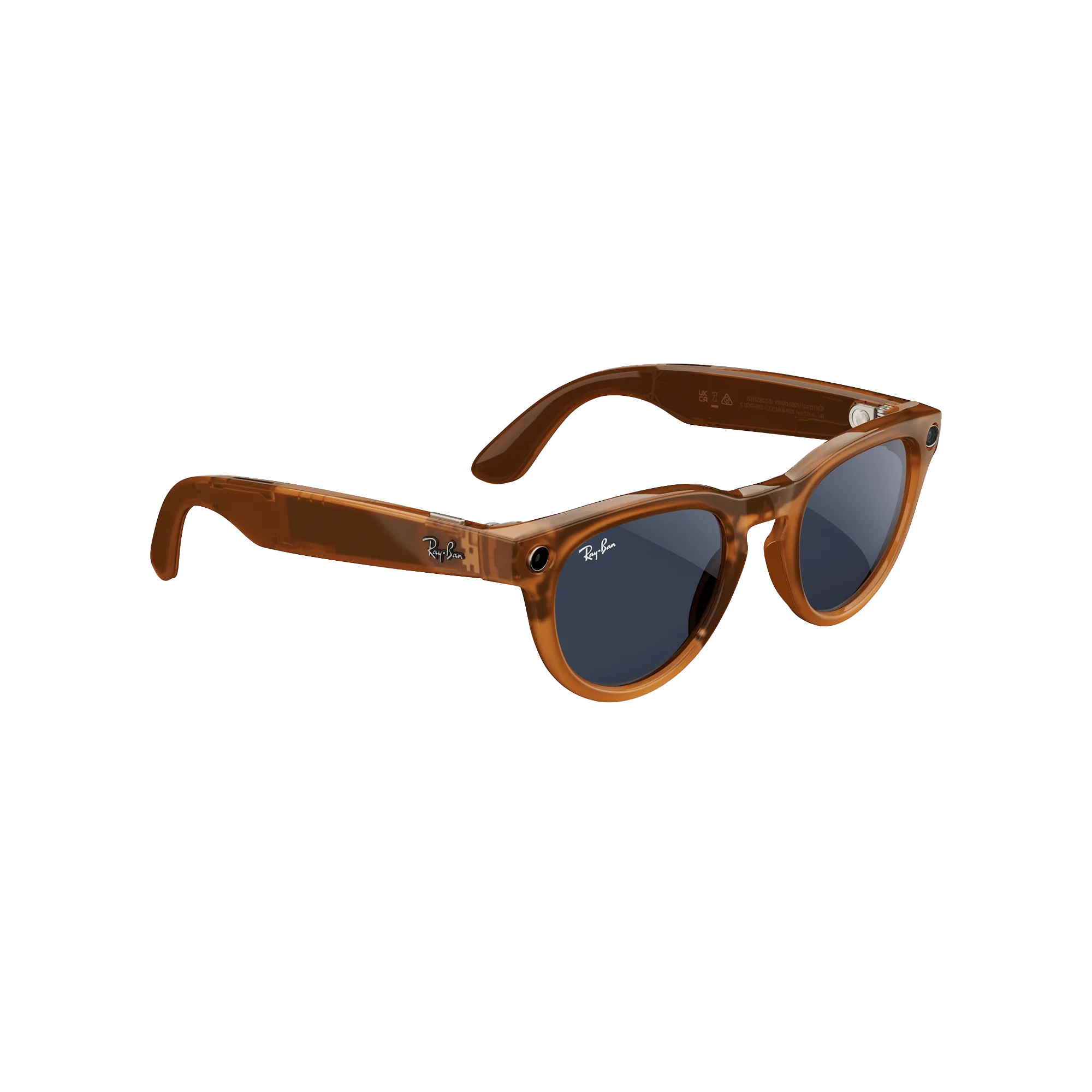RayBan Meta Wayfarer Transition